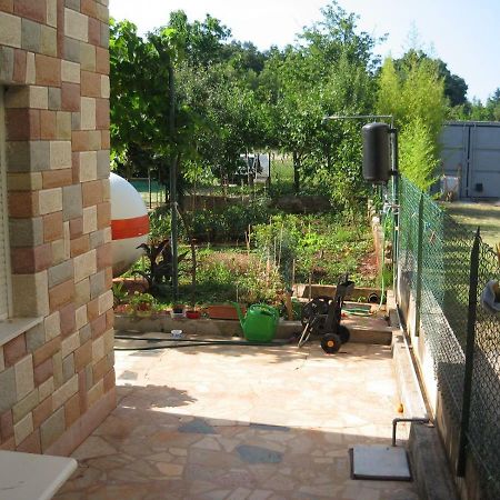Apartments Sandra Novigrad Istria Dış mekan fotoğraf